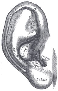 Pinna-Binaural-Recording