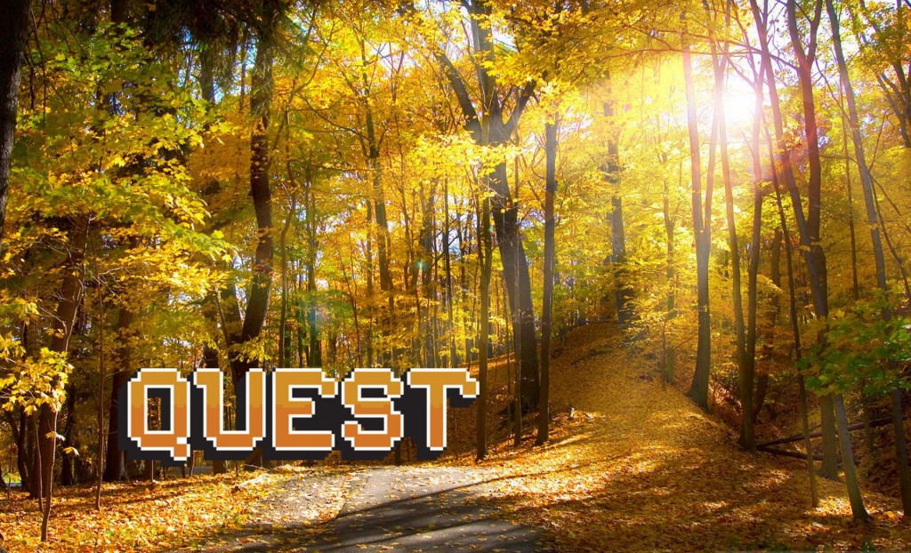 Quest 10 - Autumn String Quartets Composer Quest