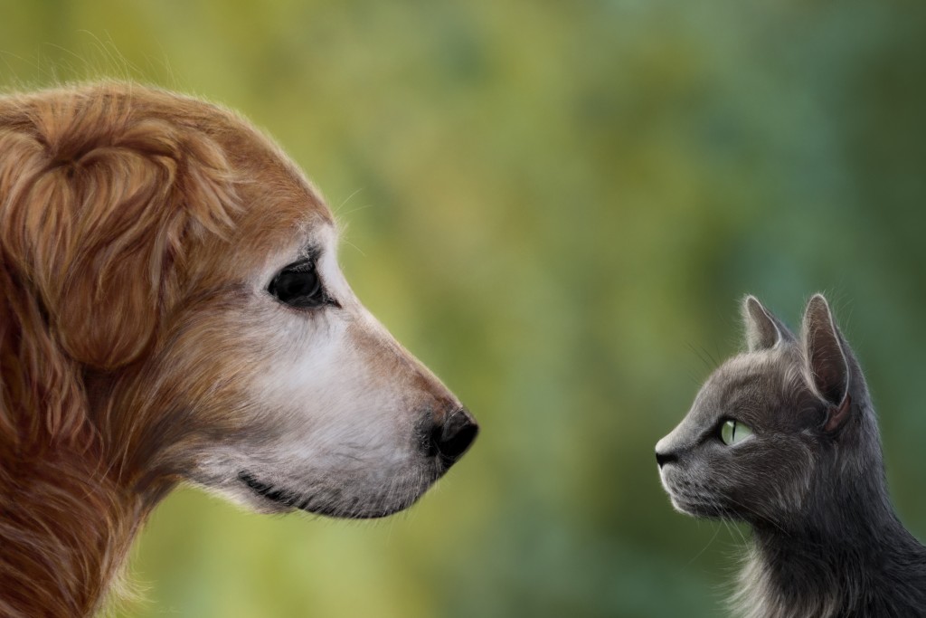 Dog and Cat Photorealistic Digital Painting